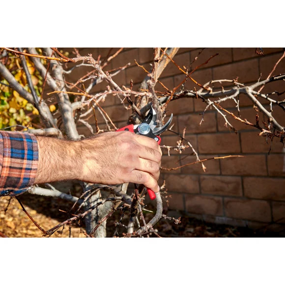Ergonomic Pruning Shears