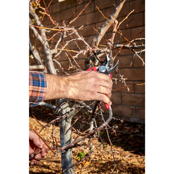Ergonomic Pruning Shears