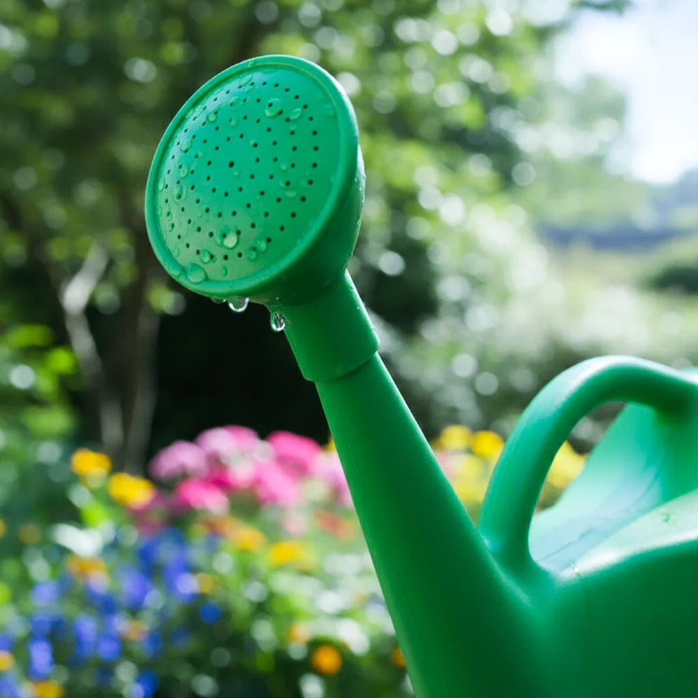Sage Green Watering Can